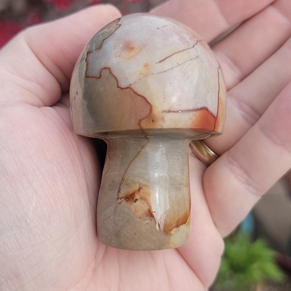 Large Polychrome / Desert Jasper Mushroom Natural Gemstone 47x27mm Reiki Chakra